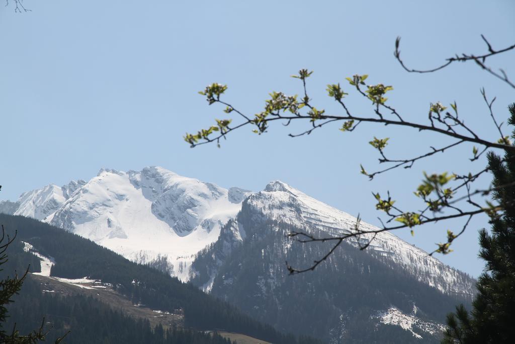 Villa Schnuck - Das Rote Ferienhaus Bad Gastein Exteriör bild